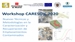 Workshop CARESOIL 2020. Nuevas Técnicas y Metodologías en la  Caracterización y Recuperación de  Emplazamientos Contaminados